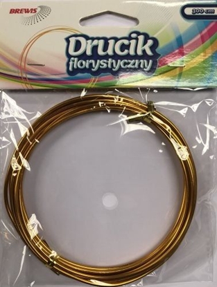 Attēls no BREWIS Drucik Florystyczny 3m DF1 zoty Brewis