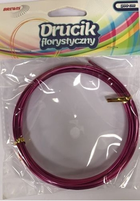 Attēls no BREWIS Drucik Florystyczny 3m DF6 róowy Brewis