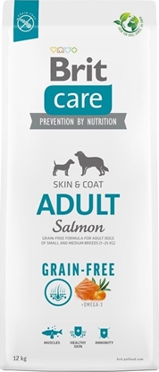 Picture of Brit BRIT CARE DOG GRAIN FREE ADULT SALMON - 12KG