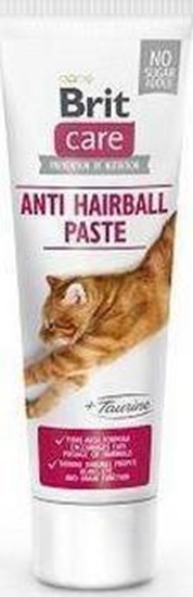 Picture of Brit Brit Care Pasta Dla Kota Odkaczajca 100g