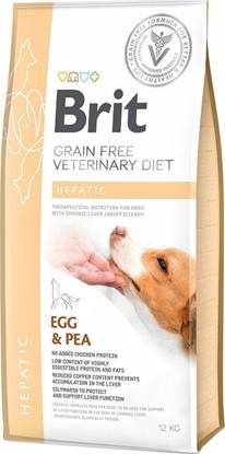 Изображение Brit Brit Grain-free Veterinary Diet Hepatic - sucha karma dla psów z niewydolnoci wtroby 2 kg