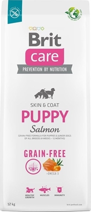 Picture of Brit Care Dog Grain-free Puppy Salmon - 12KG