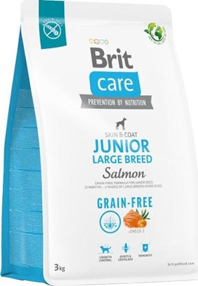 Attēls no Brit Sucha karma dla psa Dog Grain-free Junior Large Breed Salmon 3 kg