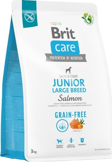 Picture of Brit Sucha karma dla psa Dog Grain-free Junior Large Breed Salmon 3 kg