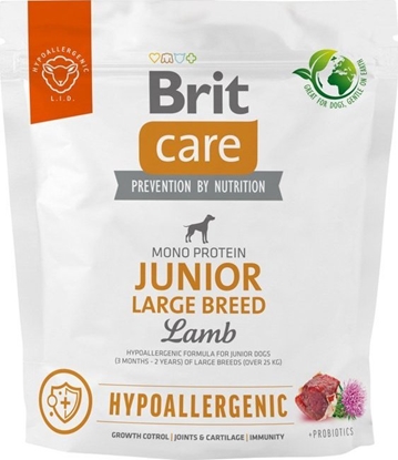 Attēls no Brit Sucha karma dla psa Dog Hypoallergenic Junior Large Breed Lamb 1 kg