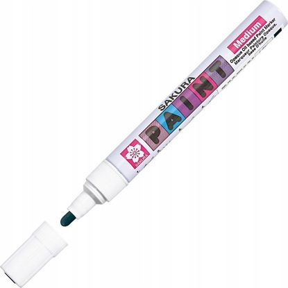Изображение BRUYNZEEL SAKURA Sakura Paint Marker Oil 2,0mm Medium 49 Black