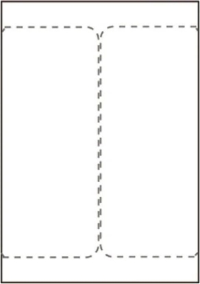 Picture of Capture Ship-label 105 x 220mm. For