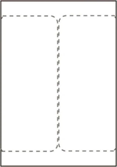 Picture of Capture Ship-label 105 x 220mm. For