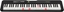 Attēls no Casio CASIO LK-S250 - Keyboard
