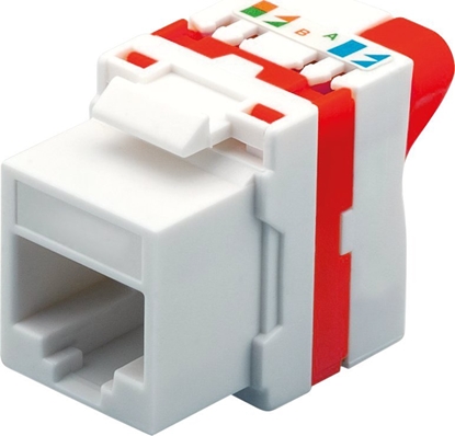 Attēls no CAT5E UTP TOOLLESS KEYSTONE