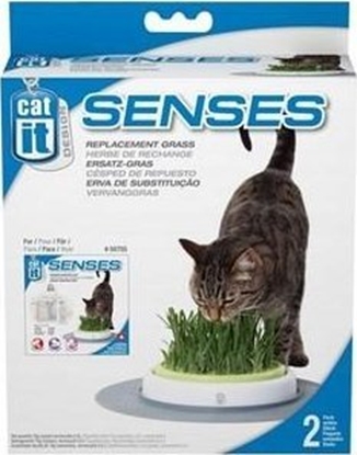 Picture of Catit Trawa Grass Garden Kit for completion CH-7551 2szt.