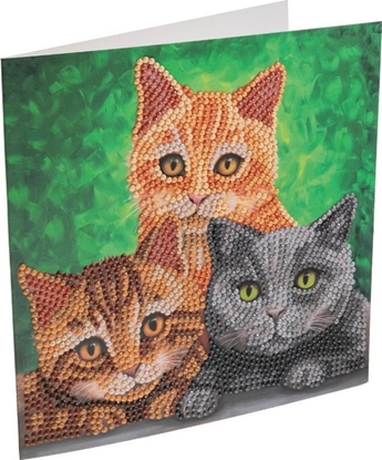 Attēls no Cats, 18x18cm Crystal Art Card