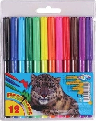 Picture of Centrum FLAMASTER CENTRUM 12 KOLORÓW ZOO