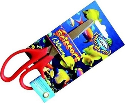 Picture of Centrum NOYCZKI CENTRUM 13CM DLA DZIECI KOLOROWE