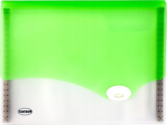 Picture of Centrum TECZKA SEGREGUJCA MIX A4 6 PRZEGRÓDEK 80818