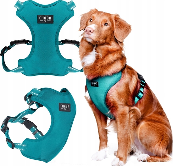 Picture of Chaba CHABA SZELKI GUARD COMFORT L              2,5cm/52-64cm MORSKIE