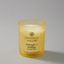 Picture of Chesapeake Bay Scented candle - Strength &amp Energy - Pineapple Coconut - small