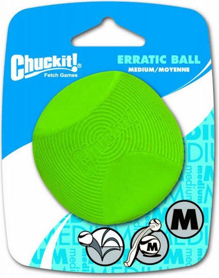 Picture of Chuckit! ERRATIC BALL MEDIUM (201101)