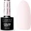 Изображение Claresa CLARESA Lakier hybrydowy do paznokci FRENCH TIME - 4  5g