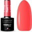 Изображение Claresa CLARESA lakier hybrydowy FLUO 6 -5g