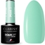 Picture of Claresa CLARESA Lakier hybrydowy MINT 3 -5g
