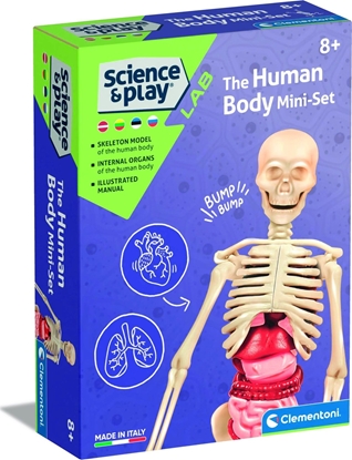 Attēls no Clementoni Edukacinis aidimas Clementoni Human Body Mini