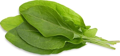 Picture of Click And Grow Click & Grow Smart Garden refill Green Sorrel 3pcs