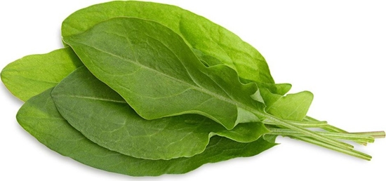 Picture of Click And Grow Click & Grow Smart Garden refill Green Sorrel 3pcs