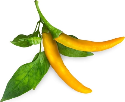 Picture of Click And Grow Click & Grow Smart Garden refill Yellow Chili 3pcs