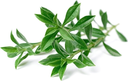 Изображение Click And Grow Click & Grow Smart Garden refill Mountain Savory 3pcs