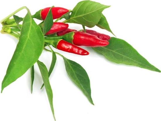 Picture of Click And Grow Click & Grow Smart Garden refill Piri Piri Chili Pepper 3pcs
