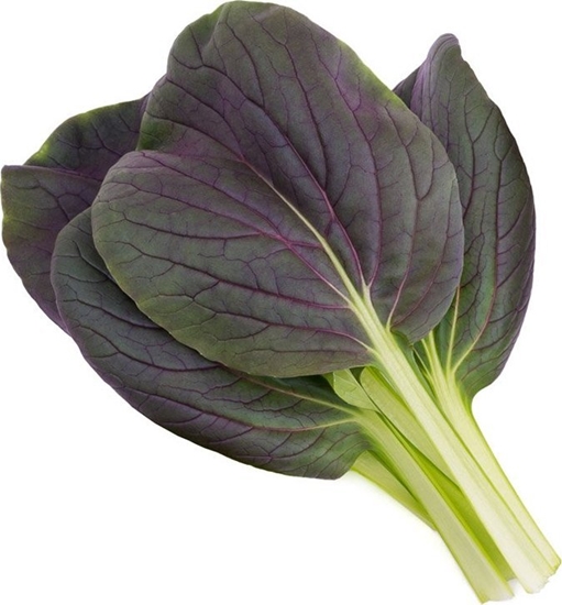 Picture of Click And Grow Click & Grow Smart Garden refill Punane Bok Choy 3pcs