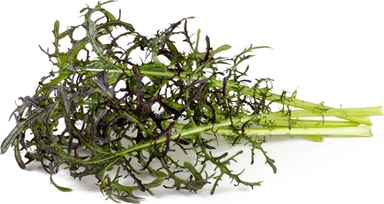 Picture of Click And Grow Click & Grow Smart Garden refill Red Frill Mustard 3pcs