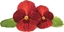 Picture of Click And Grow Click & Grow Smart Garden Refill Red Pansy 3pcs