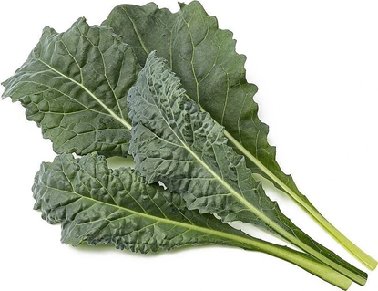 Picture of Click And Grow Click & Grow Smart Refill Italian Kale 3pcs