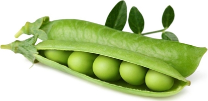 Attēls no Click And Grow Click and Grow refill zielony groszek 3-pak