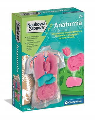 Изображение CLM ANATOMIA ZEST KREAT 50252 PUD6