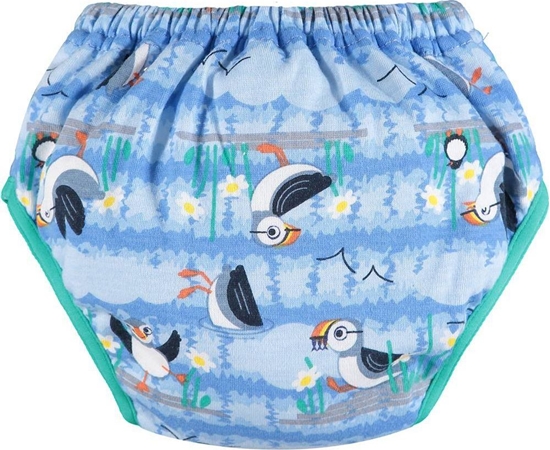 Изображение Close Caboo Majtki treningowe Blue Puffin S, 1 szt.