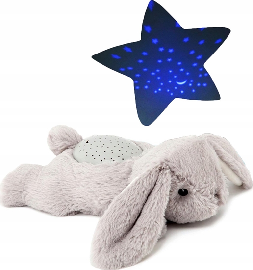 Picture of Cloud B Cloud b Dream Buddies Królik Benny