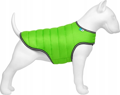 Attēls no Collar AIRYVEST KUBRAK DLA PSA ``L``              JASNOZIELONY