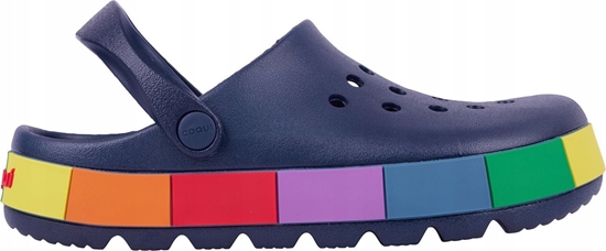 Picture of Coqui Sanday NIKO