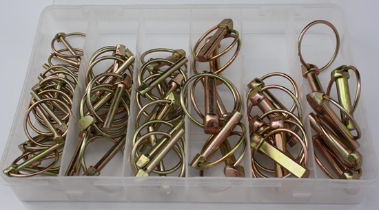 Picture of Corona Zestaw zawleczek z piercieniem 50szt. (C0410)