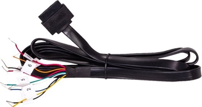 Picture of Cradlepoint 9-Wire Extensiblity Port to GPIO 1.7m