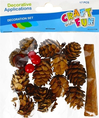 Изображение Craft with Fun OZDOBA DEK NATURA SZYSZKA AKC 17SZT CF PBH
