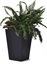 Picture of Curver Curver Rattan Planter M 55,4 L antracytowa 228974