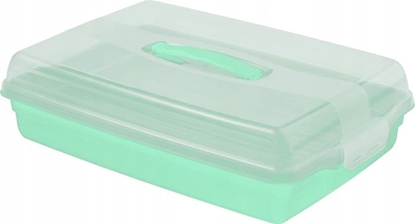 Picture of Curver Pojemnik na Ciasto ywno Taca Patera