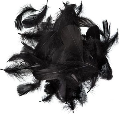 Picture of Dalprint Piórka Dpcraft 5-12 cm 10 g czarne