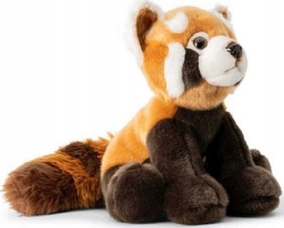 Изображение Dante Czerwona Panda