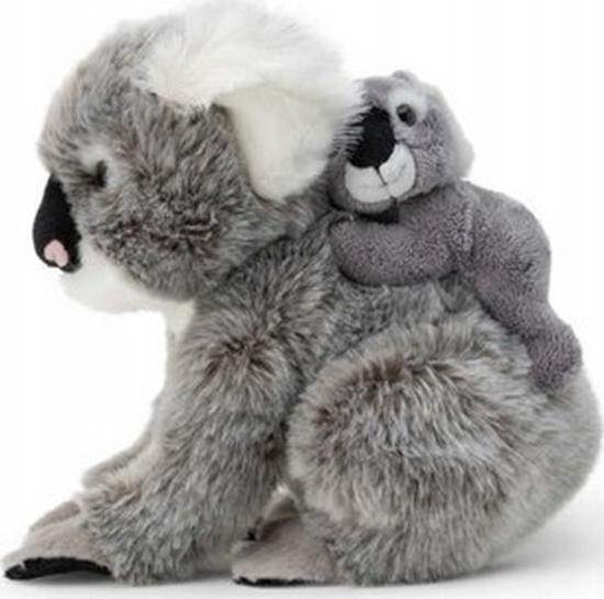 Picture of Dante Koala z dzieckiem