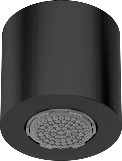 Изображение Deante Gówka prysznicowa 1-funkcyjna